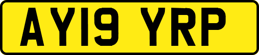 AY19YRP