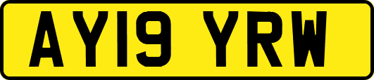 AY19YRW