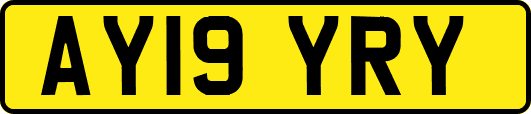 AY19YRY