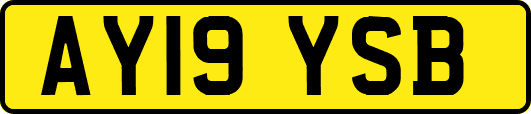 AY19YSB