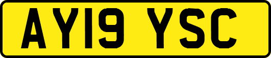 AY19YSC