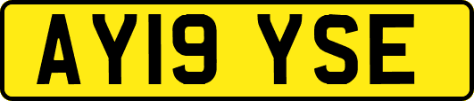 AY19YSE