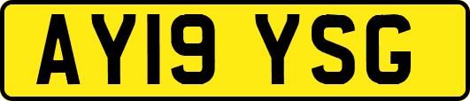 AY19YSG