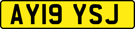 AY19YSJ