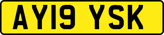 AY19YSK