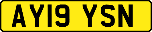AY19YSN