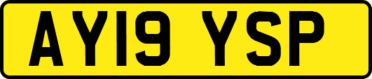 AY19YSP