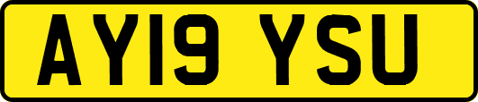 AY19YSU