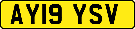 AY19YSV