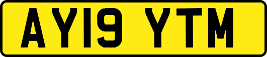 AY19YTM