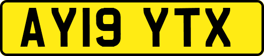 AY19YTX