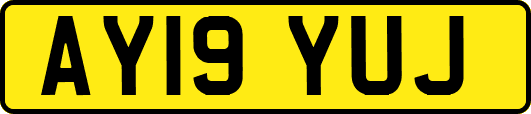 AY19YUJ