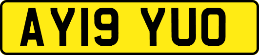 AY19YUO