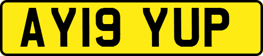 AY19YUP