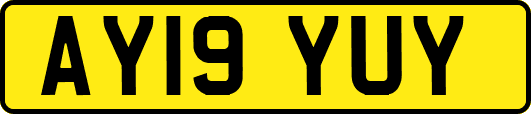 AY19YUY