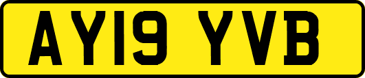 AY19YVB