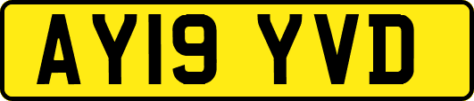 AY19YVD