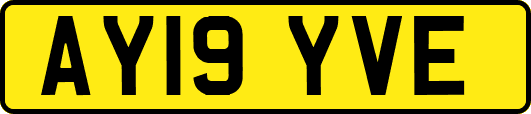 AY19YVE