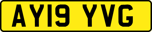 AY19YVG