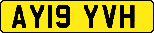 AY19YVH