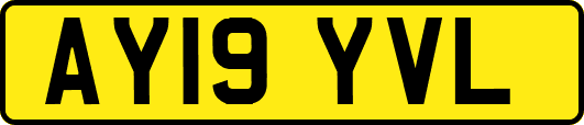 AY19YVL