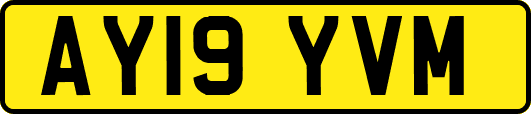 AY19YVM