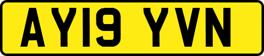 AY19YVN