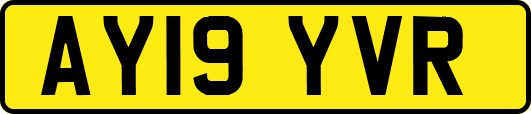 AY19YVR