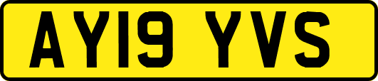 AY19YVS