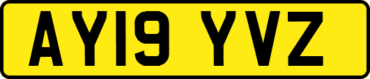 AY19YVZ