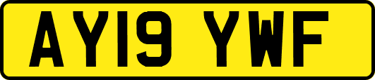 AY19YWF