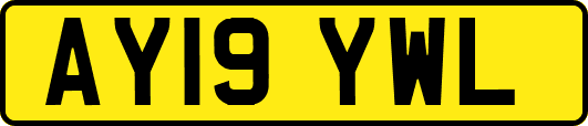 AY19YWL