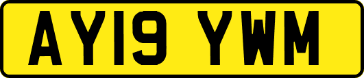 AY19YWM