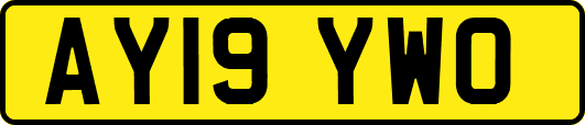 AY19YWO