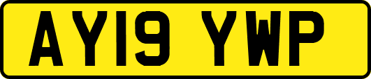 AY19YWP