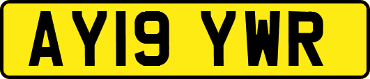 AY19YWR