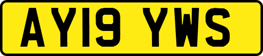 AY19YWS