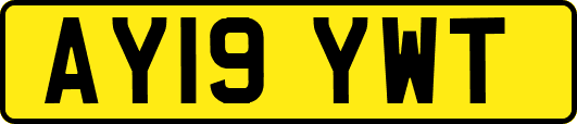 AY19YWT
