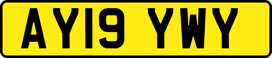 AY19YWY
