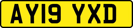 AY19YXD