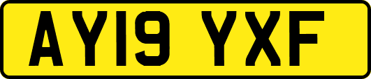 AY19YXF