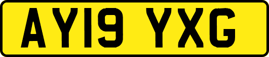 AY19YXG
