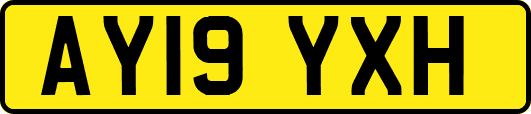 AY19YXH