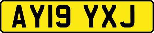 AY19YXJ