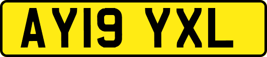 AY19YXL