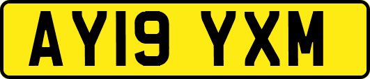 AY19YXM