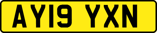 AY19YXN