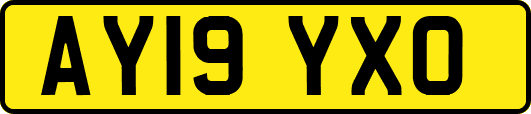 AY19YXO