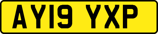 AY19YXP