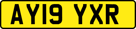 AY19YXR